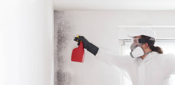 Best Mold Testing  in Natchez, MS